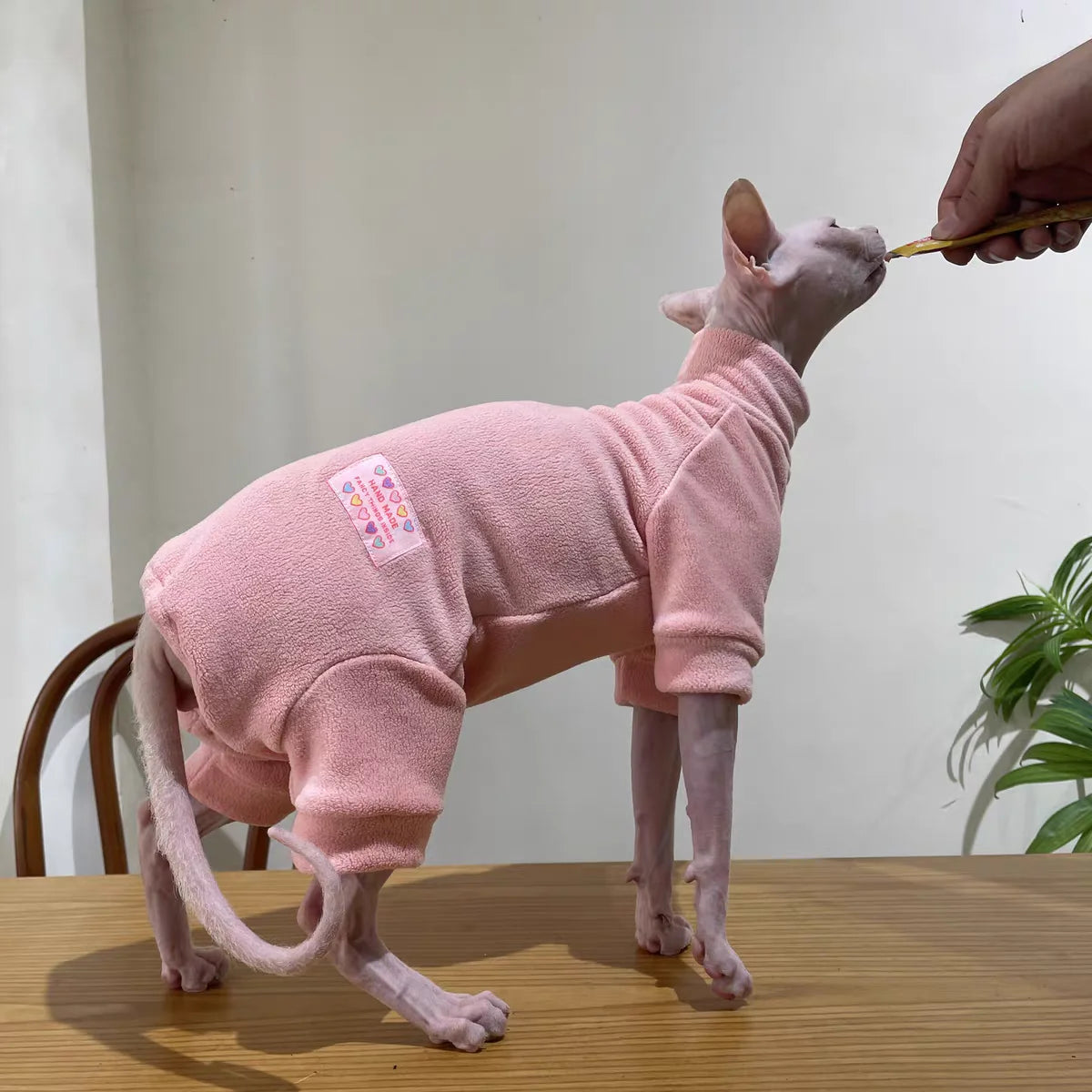 Fleece Coat for Sphynx Cat Warm Sweatshirt 4-legged Jumpsuit for Kittens Dogs soft Loungewear for Male Cat Devon Rex Sweater - Play Paws Toys