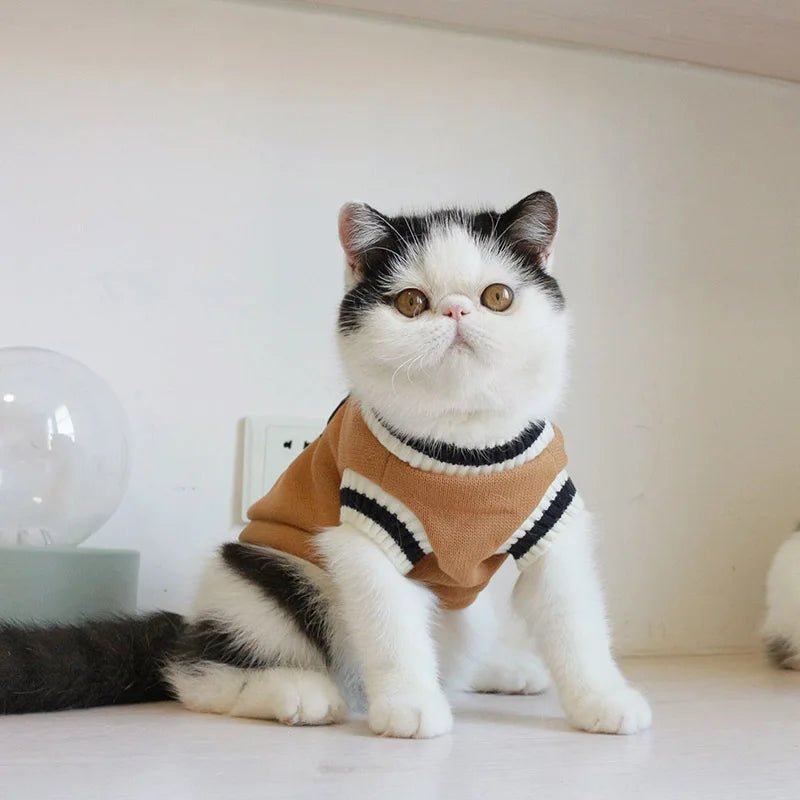 Cat Dog Sweater Pullover Winter Pet Clothes for Small Dogs Cat Vest Puppy Jacket Pet Cat Clothing Kitty Costume Ubranka Dla Psa - Play Paws Toys