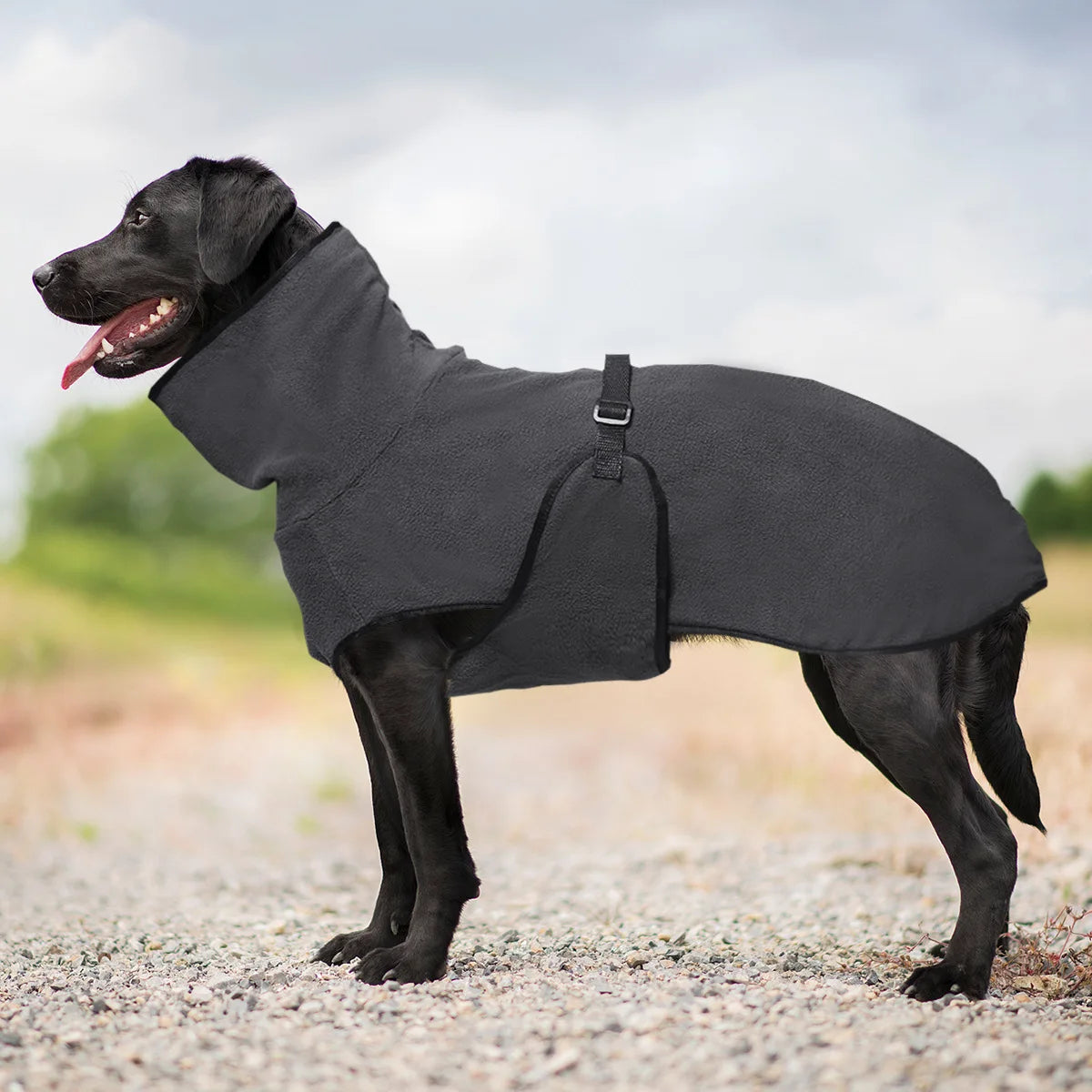 Clothes For Large Dogs Winter Warm Big Dog Vest Jacket  Pet Dogs Coat Greyhound Doberman Clothes For Medium Large Dogs