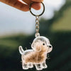 Dog Cat Hair Storage Pendant Keychain Box Couple Car Key Chains Jewelry Souvenir Pet Lover Keepsake Memorial Keychain Gift Decor