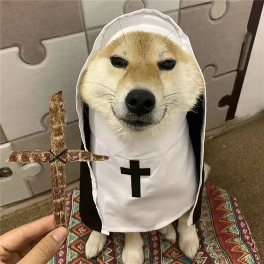 Christmas Pet Dog Cat Cosplay Costume Breathable Pet Accessories Puppy Kitten Nun Clothes Dress Up Halloween Jumpsuit Coat