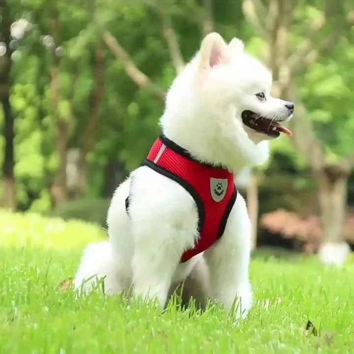 Cat Harness Adjustable, Escape-Proof Breathable Mesh with Reflective Vest  5-Foot Leash - Safe, Durable Outdoor Adventures