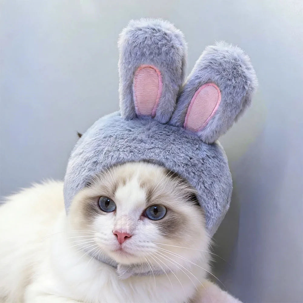 Funny Pet Headband Plush Yarn Panda Pig Chick Cat Dog Warm Cosplay Costume Headdress for Cats Dogs Pets Supplies Accessories