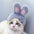 Funny Pet Headband Plush Yarn Panda Pig Chick Cat Dog Warm Cosplay Costume Headdress for Cats Dogs Pets Supplies Accessories