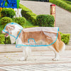 Pet Raincoat Transparent Dog Raincoat Waterproof and Windproof Pet Clothing Large Dog Pet Dog Dog Costume