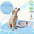2025 Upgraded Ice-Cool Summer Pet Cooling Mat and Bed Sweat-Absorbent Fabric Available in 4 Sizes for Small Medium and Large Pet