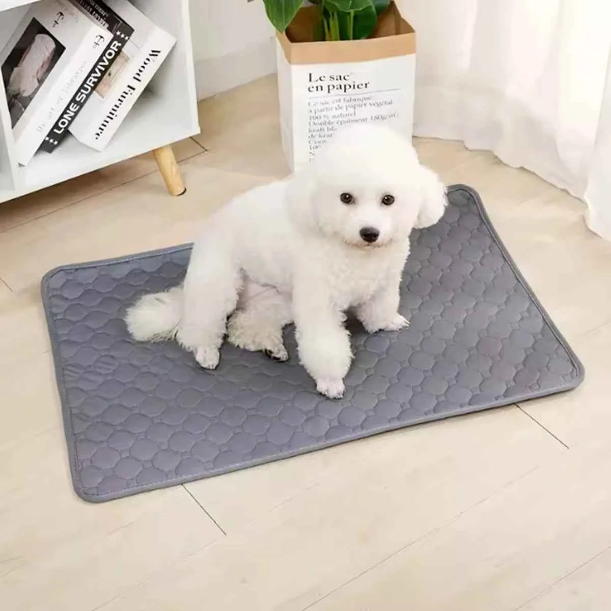 Dog Pee Pad Reusable Washable Dog Urine Mat Car Seat Floor Sofa Waterproof Absorbent Puppy Cat Training Diaper Mat Pet Supplies