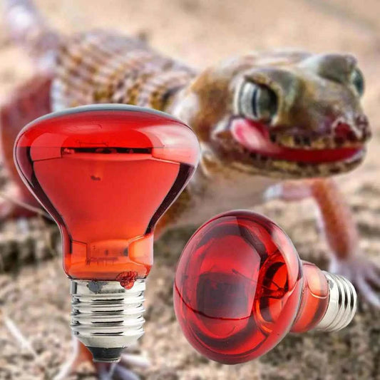 E27 Poultry Heating Bulb 25W-100W Infrared Insulation Heating For Reptiles Plants Amphibians Pets Livestock Lamp Tools