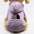 Autumn and winter sweater cowboy pocket two-legged clothes sports wind pet clothes dog cat pet clothes supplies