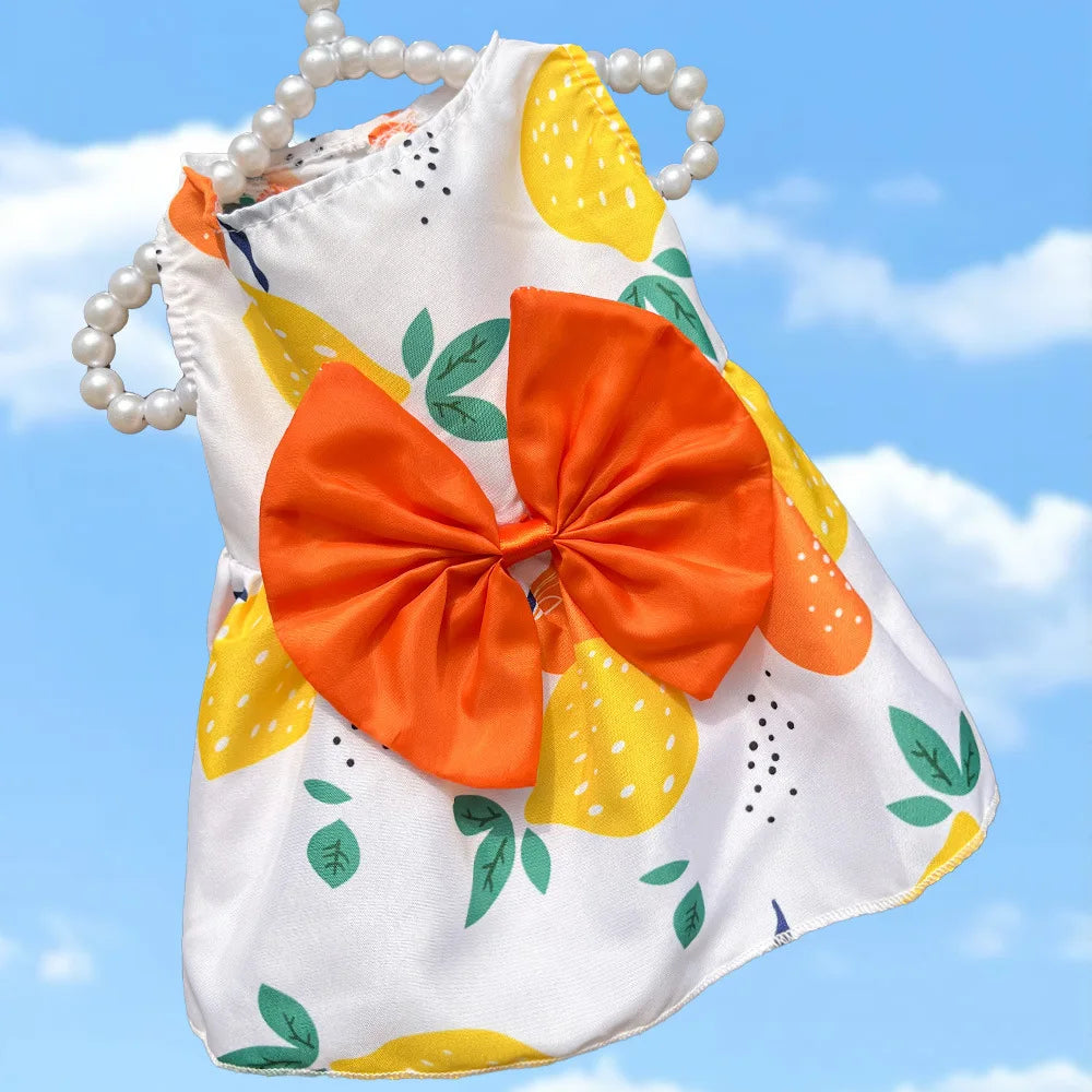 Dog Princess Dress Summer Kitten Pet Skirt Cute Printed Bow Lace Dog Dresses for Small Medium Puppies Poodle Chihuahua Apparel