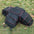 Portable Cat Backpack Carrier Foldable Expandable Pet Travel Bag Airline Approved Breathable Pet Carrier for Dog Pet Accessories - Play Paws Toys