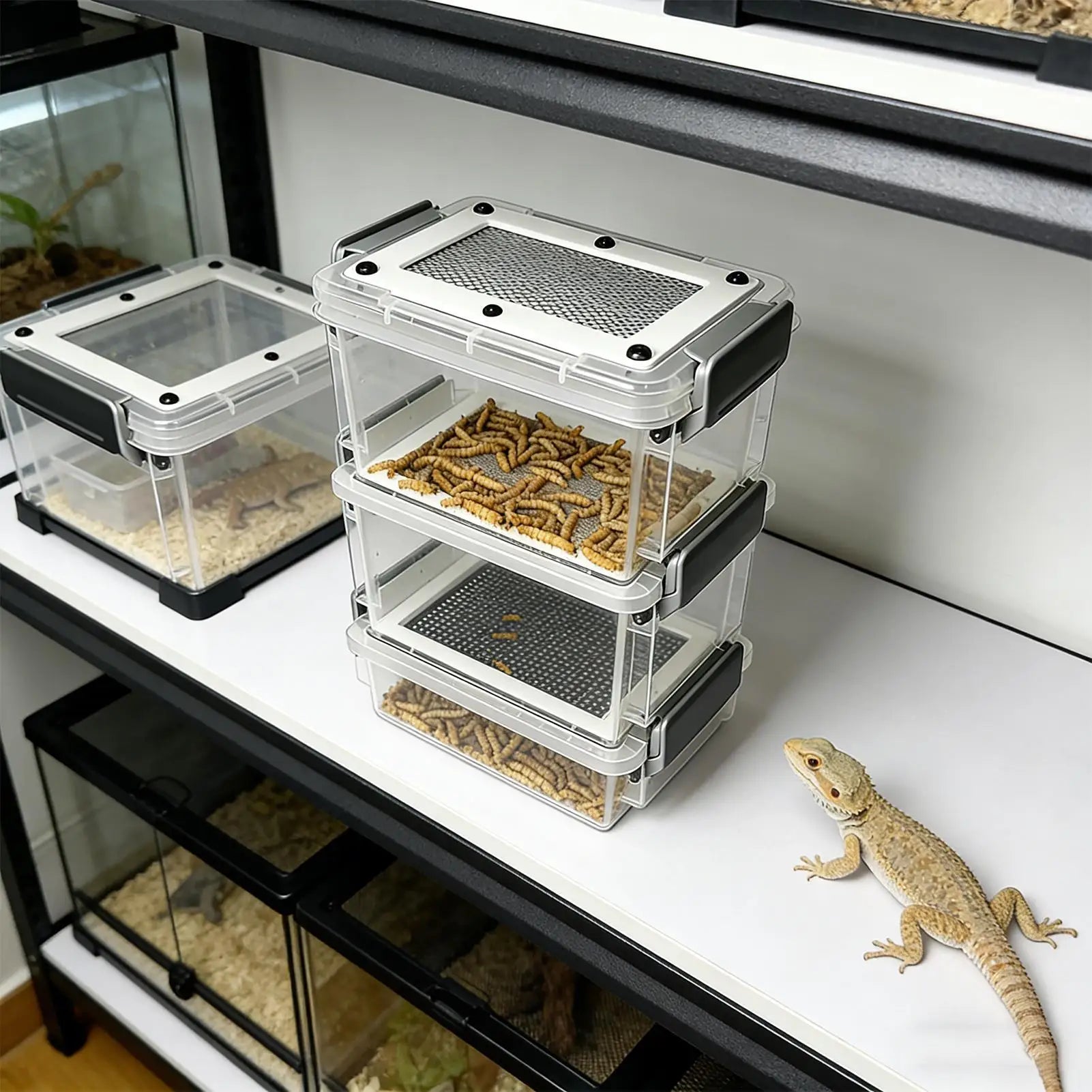 Mealworm Breeding Kit 3-Layer Silkworm Feeder Bin Corn Worm Breeder Box for Pet Parents Animal Lovers Keepers Breeders Hobbyists
