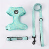 Harness for Cats Collar, Harness, Leash Accessories Pets Goods Kitten Pet Products Things Breast-band Supplies Kittens - Play Paws Toys