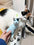 Customized Pet Pillow with Personalized Plush Cat and Dog Design, Polyester Fiber