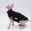 DUOMASUMI Summer Cat Vest for Hairless Breeds - Stretch Cotton & Ultra-Soft Cooling Top for Sphynx, Devon Rex& Abyssinian Cats