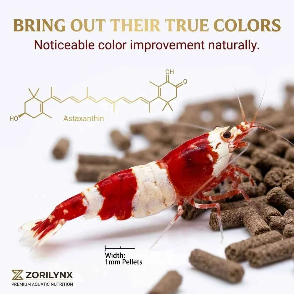 Nutritious Shrimp Feed Sinking Pellets High Protein Calcium Rich Food for Crystal Red Cherry Shrimp Aquarium Tank ZORILYNX