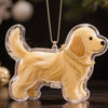 Dog Cat Hair Storage Pendant Keychain Box Couple Car Key Chains Jewelry Souvenir Pet Lover Keepsake Memorial Keychain Gift Decor