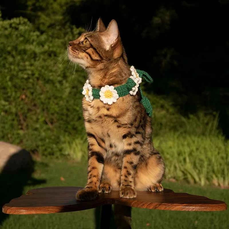 Hand-knitted Pet Necklace Cat Decoration Cute Daisy Flower Necklace Dog Accessories Suitable for Pet Photo Taking