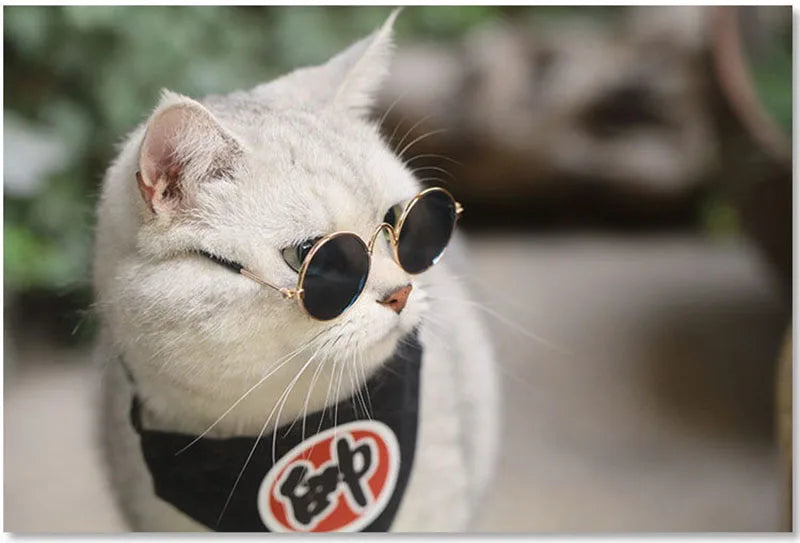 Pet Accessories Cat Glasses Non-slip Kitten Glasses Small Dog Sunglasses Puppy Kitty Cat Sunglasses Cosplay Costume Photos Props