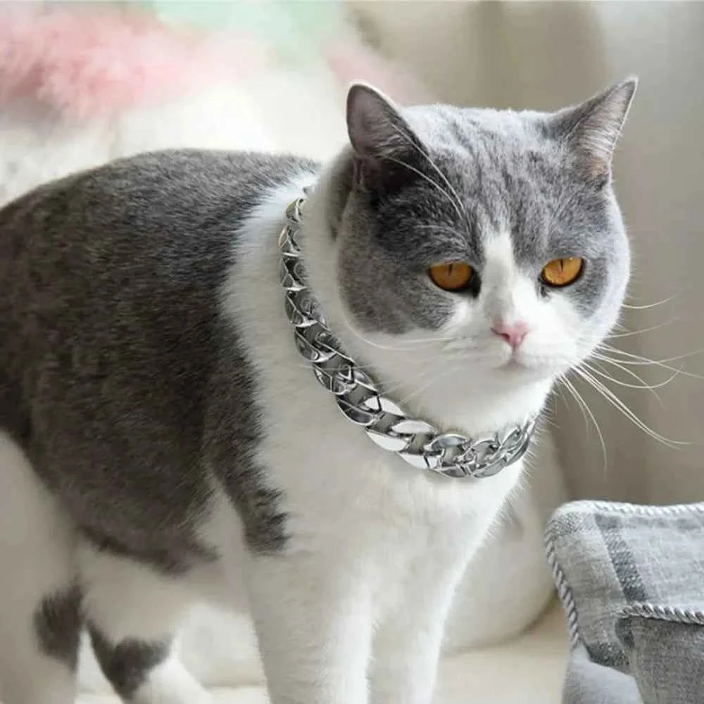 Gold Chain Pet Necklace for Cats and Small Dogs Fashionable Chunky Link Collar for Photo Shoots Daily Wear Party Costume
