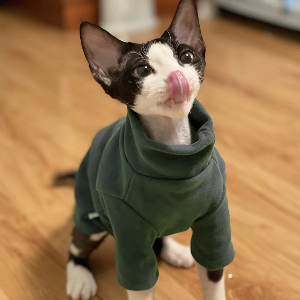 Sphynx Cat Clothes Baby Soft Cotton Fall Winter Kitten Small Dog Clothes for Cornish Devon Cat Costume Hairless Pet Clothes - Play Paws Toys