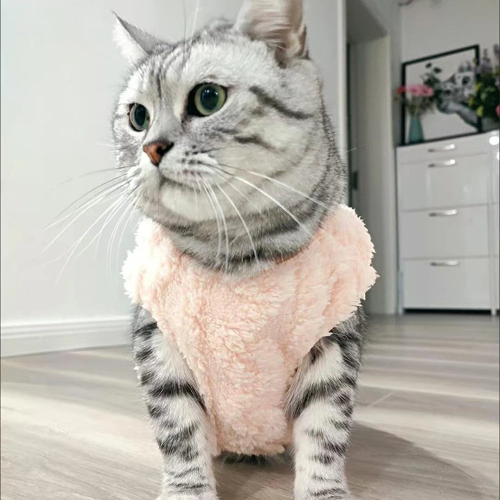 Soft Cat Clothes For Small Medium Dog Cats Sphynx Fleece Pullover Sweatshirt Autumn Winter Warm Puppy Kitten Coat Pet Costume - Play Paws Toys