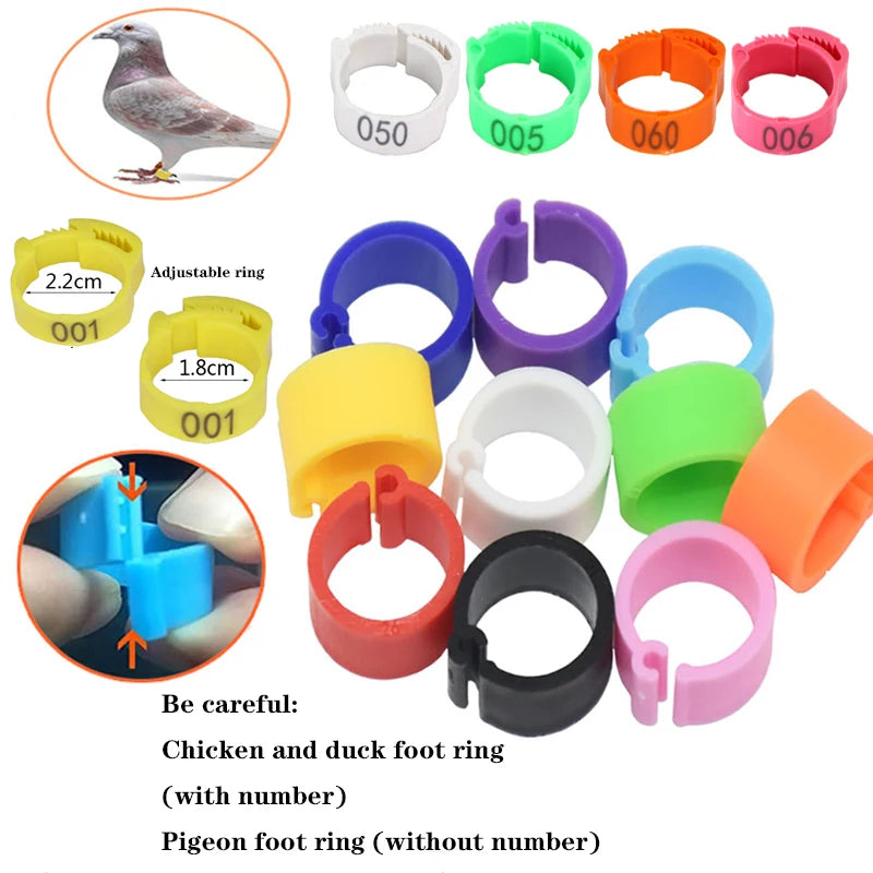 Adjustable Ratchet Foot Rings for Poultry (25/100pc)