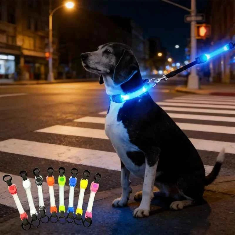 Water Resistant Dog Safety Collar with Multi Color Pendants and LED Light Strip for Night Visibility and Outdoor Use