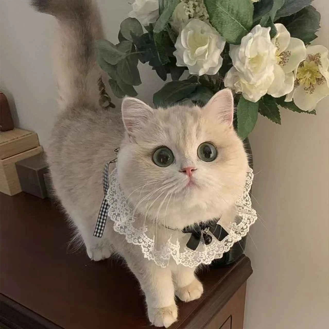 Cute Lace Bow Pet Collar Cat Dog Drool Towel Summer Thin Pet Pendant Necklace with Cat Strap Accessories