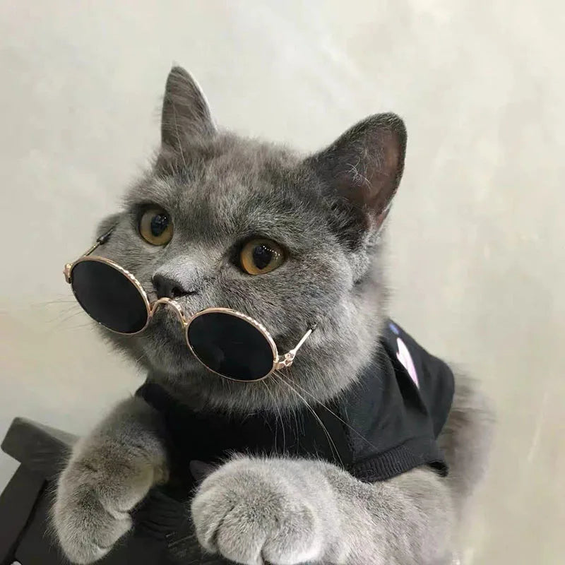 Puppy Dog Sunglasses Anti-skid Round Metal Cat Classic Retro Sunglasses Hippie Cute and Funny Pet Glasses Cosplay Party Costume