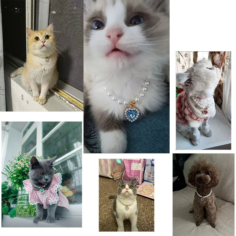 Adjustable Bling Neck Ornament Pearl Necklace Fashion Princess Accessory For Cat Kitten Small Dog Chihuahua Pet Supplies