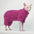 Winter Warm Sphynx Cat Clothes Four Legs Outfit for Hairless Cats Sizes for Devon Rex Abyssinian Cornish - Play Paws Toys