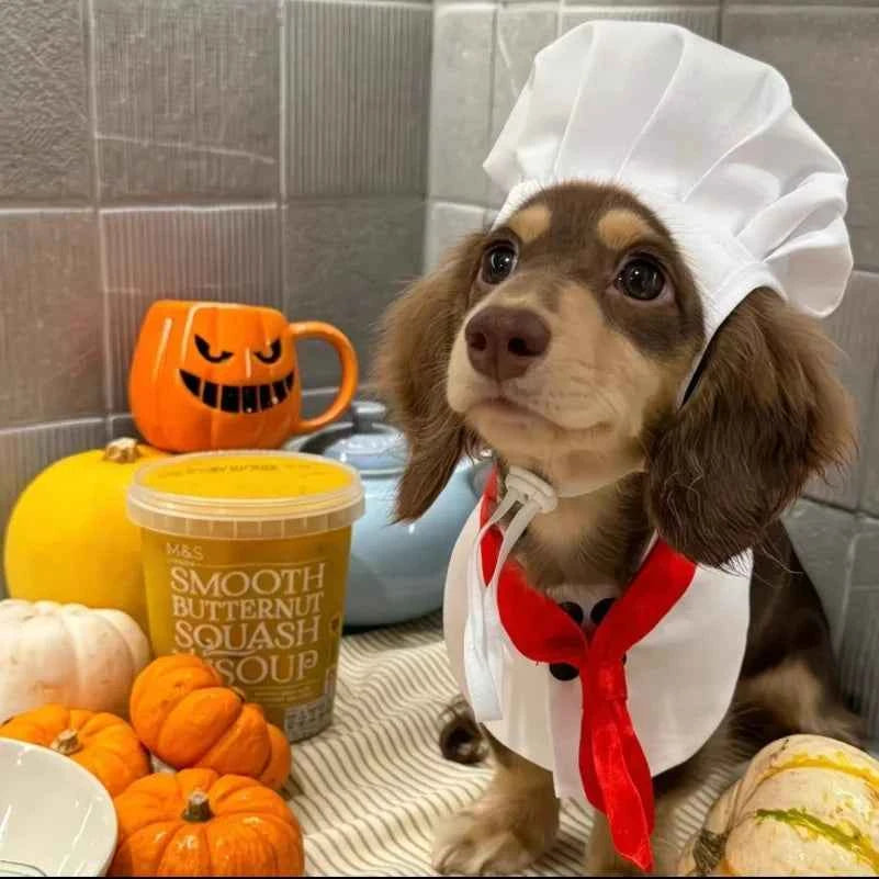 Funny Cat Chef Costume,Party Cosplay Outfit with Hat for Kittens, Cute Cooking Baker Pet Dress Up Party Apparel Free Shipping
