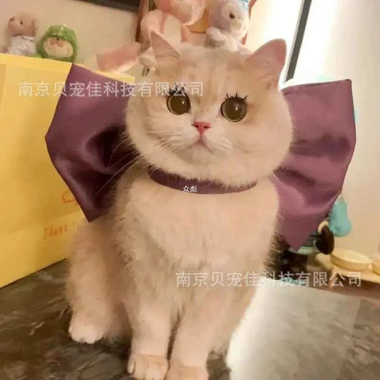 Mary Cat Bow Tie Pet Collar Scarf Cat Necklace Decoration Bichon Puppy Leash Toy Cat Home Garden Pet Supplies Accessories