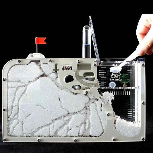 Funny Ant Castle with Sand Ant Nest Home Children Educational Bio Art Ant Farm Underground Ecology Castle Ant Cage Insects Box