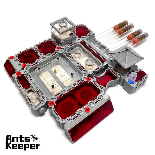 【Lego】Expandable Modular Formicarium Ant Farm Nest for Ant Keeper Starter New Queen Large Anthill Keeping Kit Test Tube
