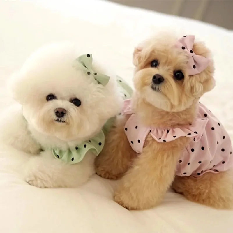 Luxury Pet Suspenders Dog Summer Dress Dot Puppy Skirt Chihuahua Bichon Dog Apparel Cat Clothing Small Dog Vest Girl Dog Clothes