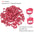 Chicken Foot Rings Label Clasp Plastic Adjustable Poultry Leg Snap Ratchet Clip Digital Duck Pigeon Goose Farm Feed Tool 25/100