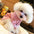 One luxurious and Comfortable Pajama for Pet Dogs Summer Dog Clothes for Small Dogs Suitable for Teddy, Bichon Frise,Yorkshire