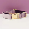 Velvet Collar Free Engrave Dog Collar Leash For Medium Big Pet Necklace Dog Accessories Dog Collars