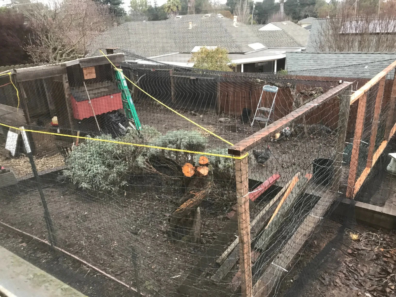 Steel Wire Reinforced Cat Netting for Balcony,Cat Anti-Fall Net,Garden Net Anti Bird Netting with Wire for Windows,Stair Lawn - Play Paws Toys