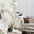 70" Tall Multi-Level Cat Tree Tower Scratching Posts Board 3 Perches Dangling Balls Indoor Large Cats 20 lbs+, Custom