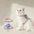 Cat Harness and Leash Sets Adjustable Dog Harness for Small Dog Leash Breashable Pet Harness Out Walking Dog Strap