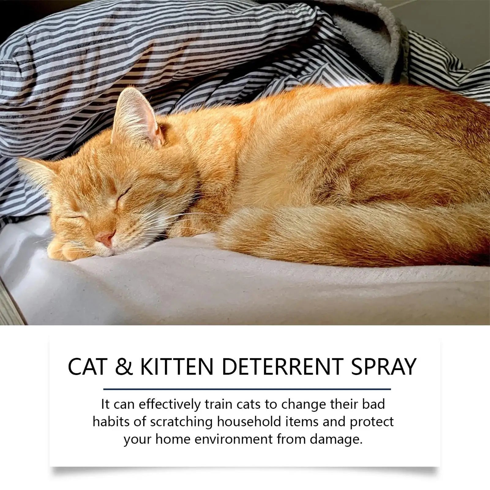 100ml Cat Anti scratch Spray Orange Fragrance Sofa Curtain Protectors Restricted Area Stop Cats Dogs Scratching Pet Training Aid