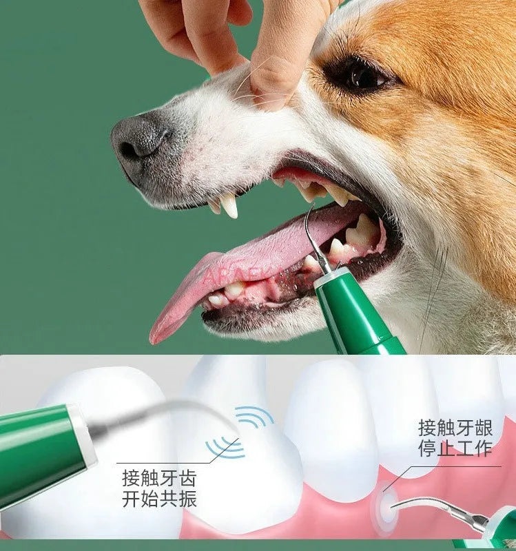 1set Plaque Remover for Teeth - Pet Ultrasonic Cleaner - Teeth Cleaning Kit for Tartar and Stains - Suitable for Dogs and Cats