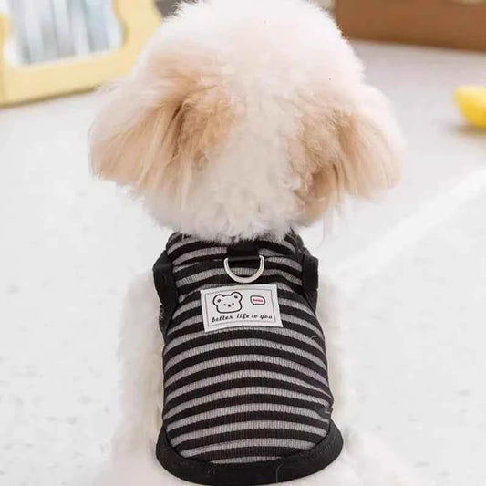 Summer Pet Vest for Small Medium Dog Cooling Clothes Chihuahua French Bulldog Breathable Clothes Puppy Casual Shirt Dog Costume