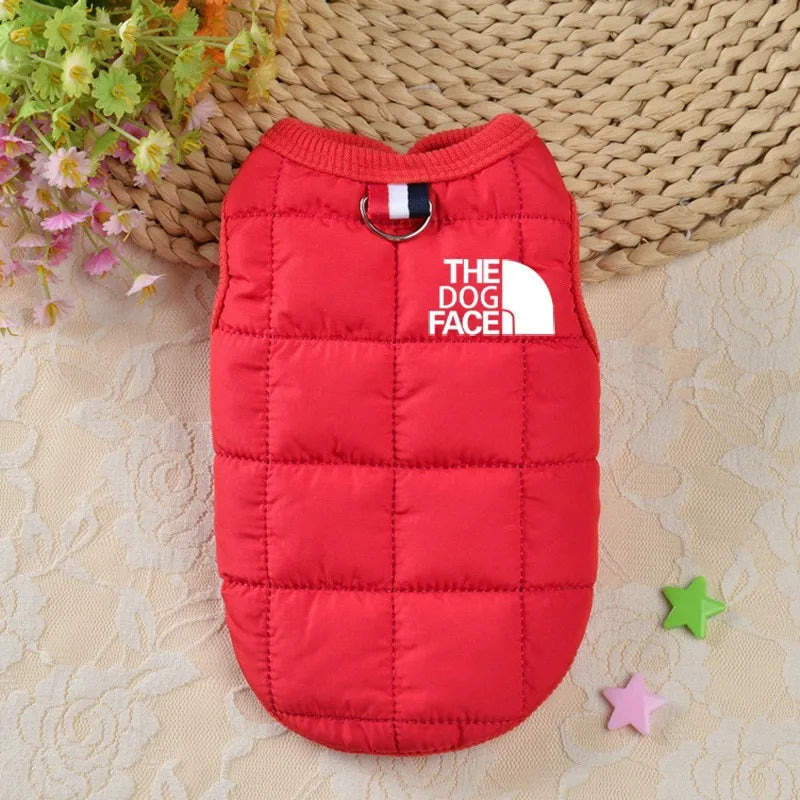 Designer Trendy Dog Clothes Winter Warm Pet Coat Small Medium Dog Face Stereo Logo For Chihuahua French Bulldog Costume