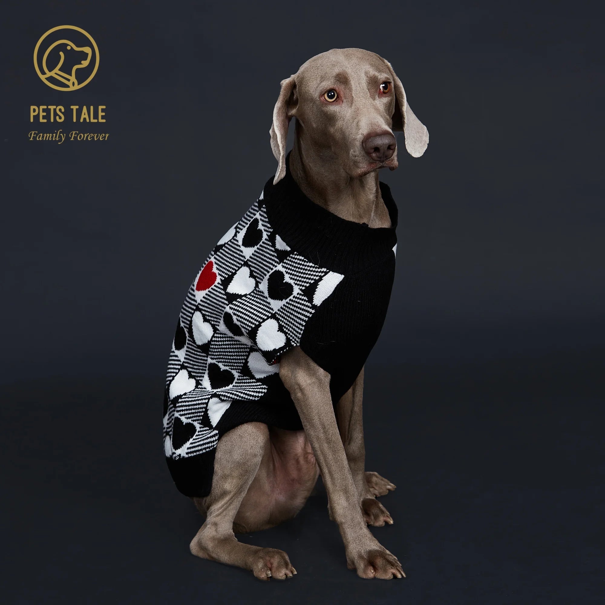 Buffalo Check Love-Heart Intarsia D-Ring Hole Dog Sweater