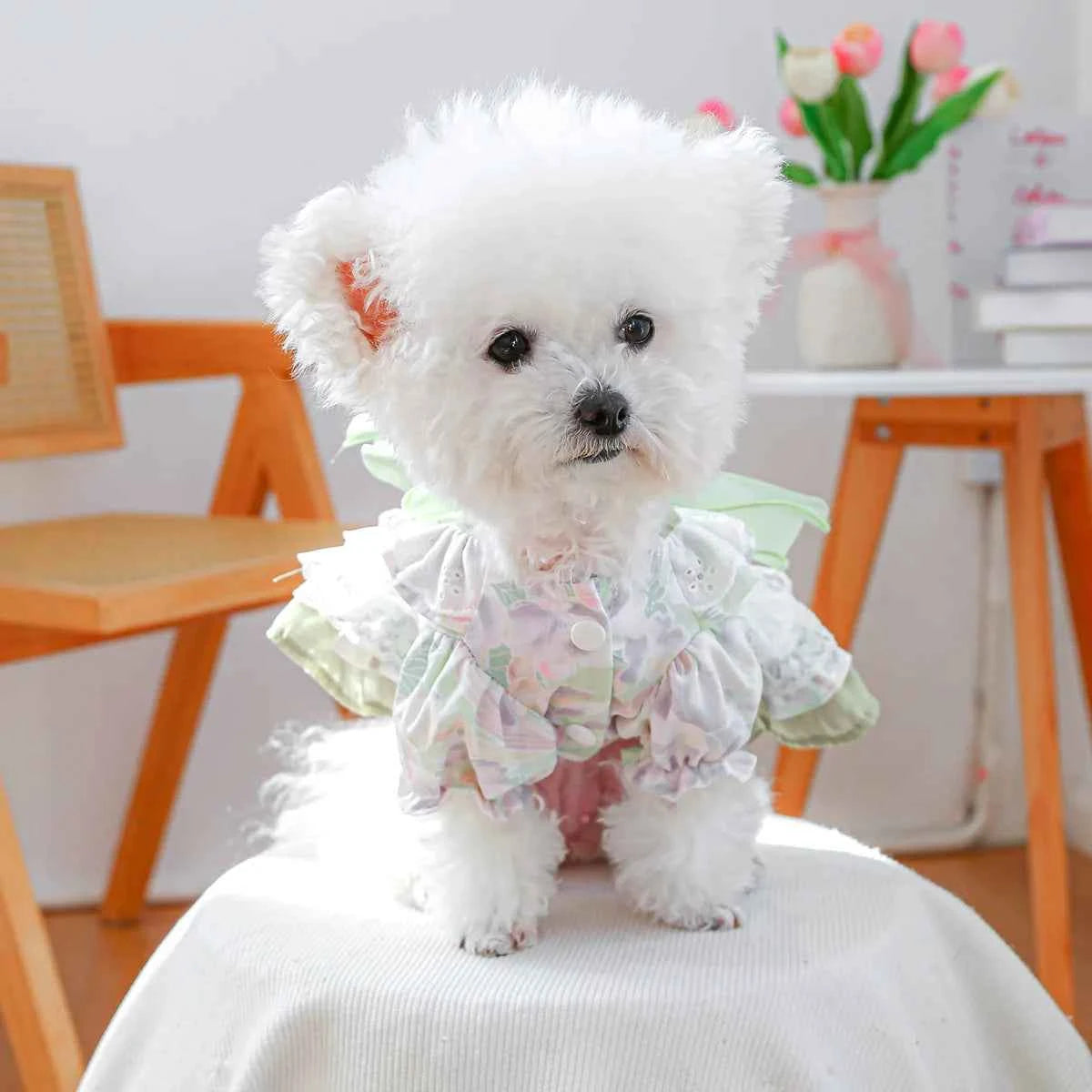 Elegant Bow Princess Dresses for Puppies Kittens Delicate Breathable Dog Dress Soft Cat Dress Spring/Summer Green Pet Clothing