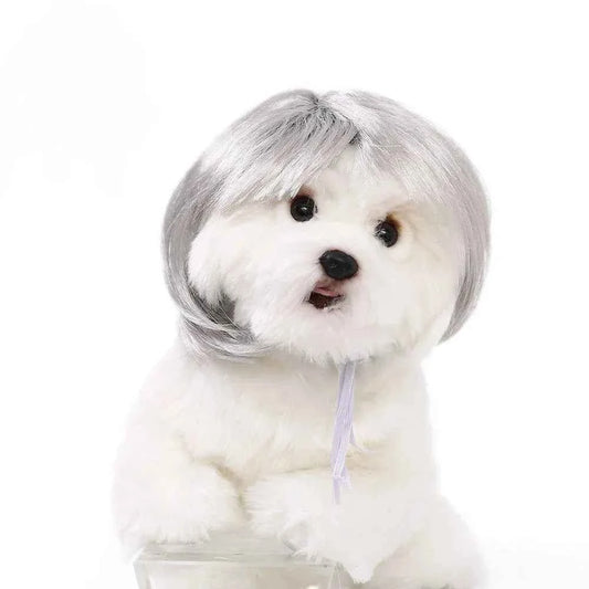 Pet Wig Dog Wig Pet Supplies Halloween Pet Accessories Curly Hair Straight Hair Cat Wig It can be DIY trimmed